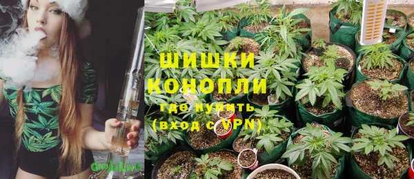 мет Нягань
