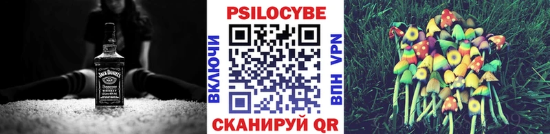 Галлюциногенные грибы Psilocybine cubensis  shop состав  Щёкино 